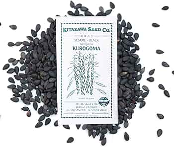 81W2djqz+0L._AC_UF350,